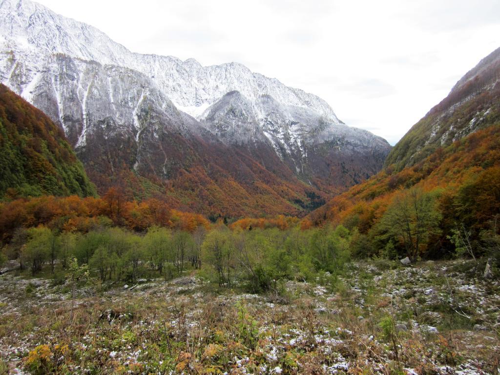 Bezgova Hisica Villa Бовец Екстериор снимка