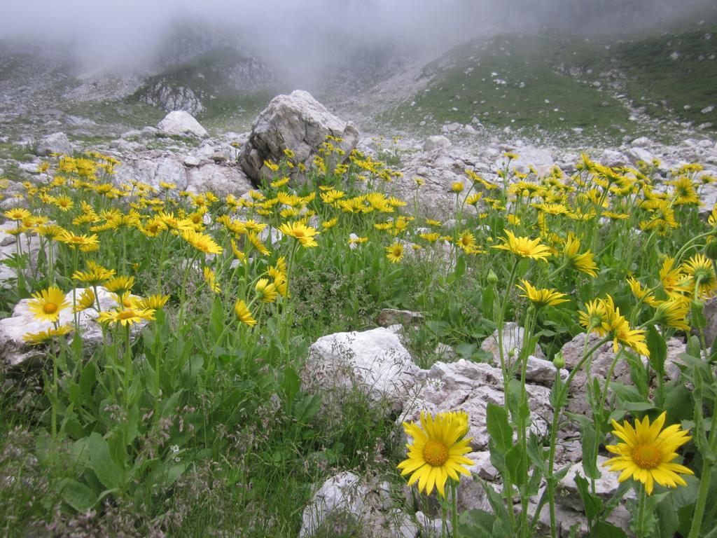 Bezgova Hisica Villa Бовец Екстериор снимка