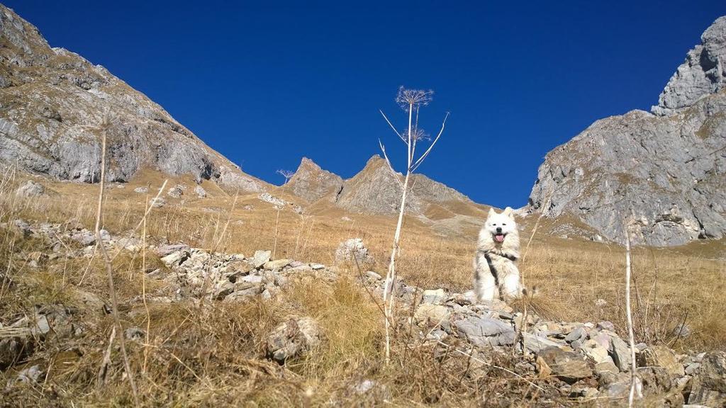 Bezgova Hisica Villa Бовец Екстериор снимка