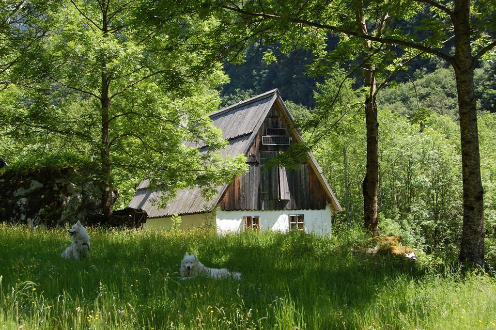 Bezgova Hisica Villa Бовец Екстериор снимка