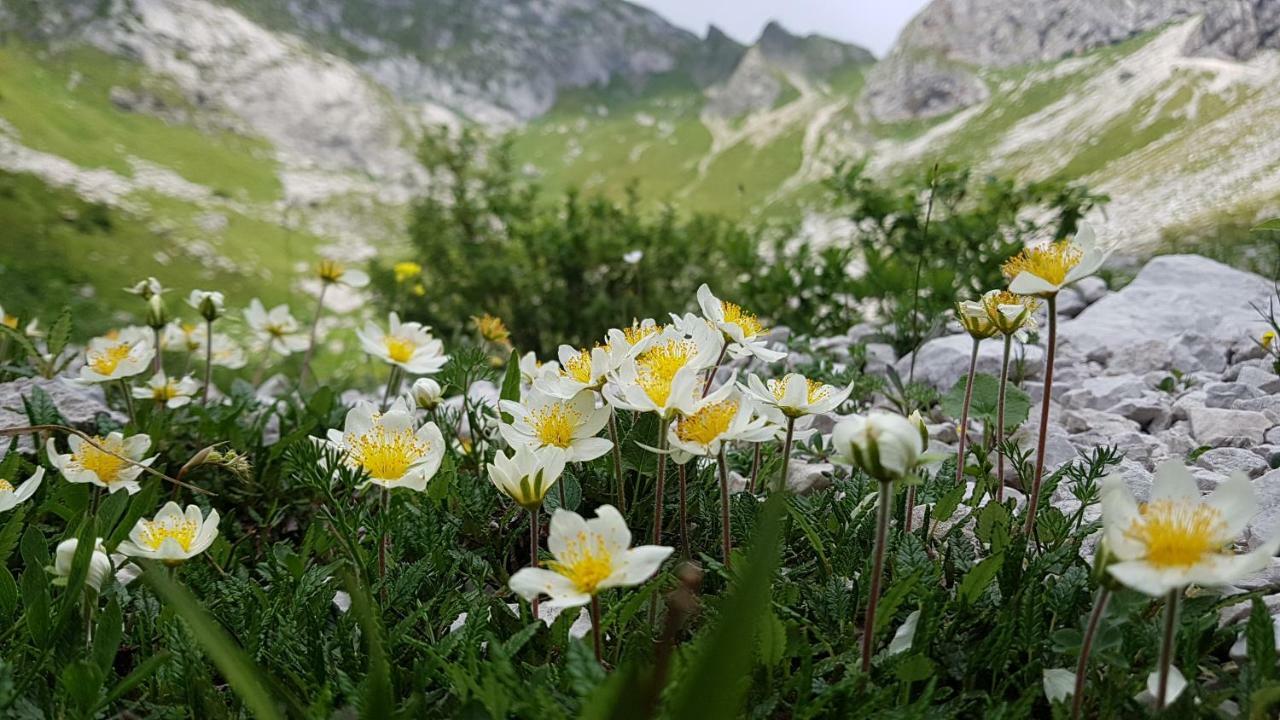 Bezgova Hisica Villa Бовец Екстериор снимка